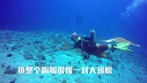 无主之地传说