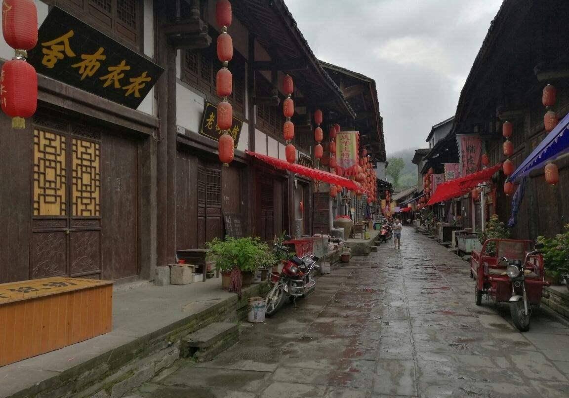 嫁接的枣树被折断了怎么办?-最全面的问答类网站